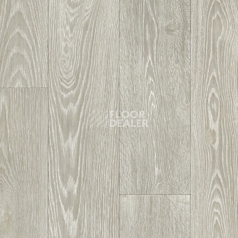 Линолеум Tarkett Philosophy BLANCH 1 фото 1 | FLOORDEALER